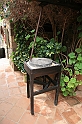 Kanary_2010 127